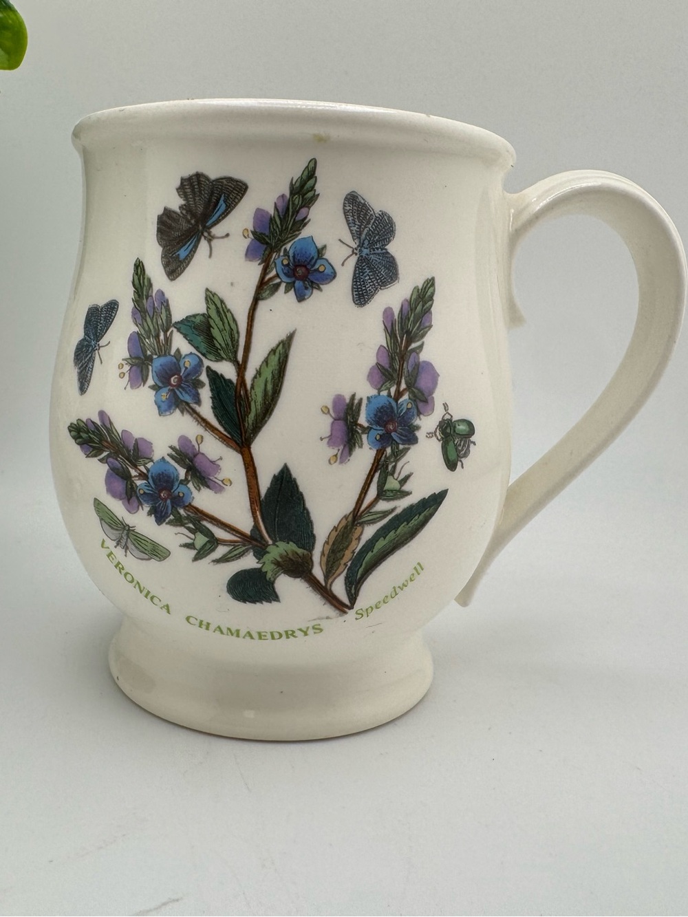 Portmeirion Botanic Garden Mug Veronica Chamaedrys Speedwell England Floral